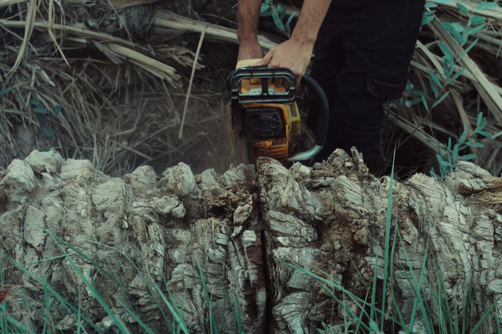 pexels-photo-13790935-13790935 Closeup of a man using a chainsaw to cut a tree trunk in an outdoor setting.