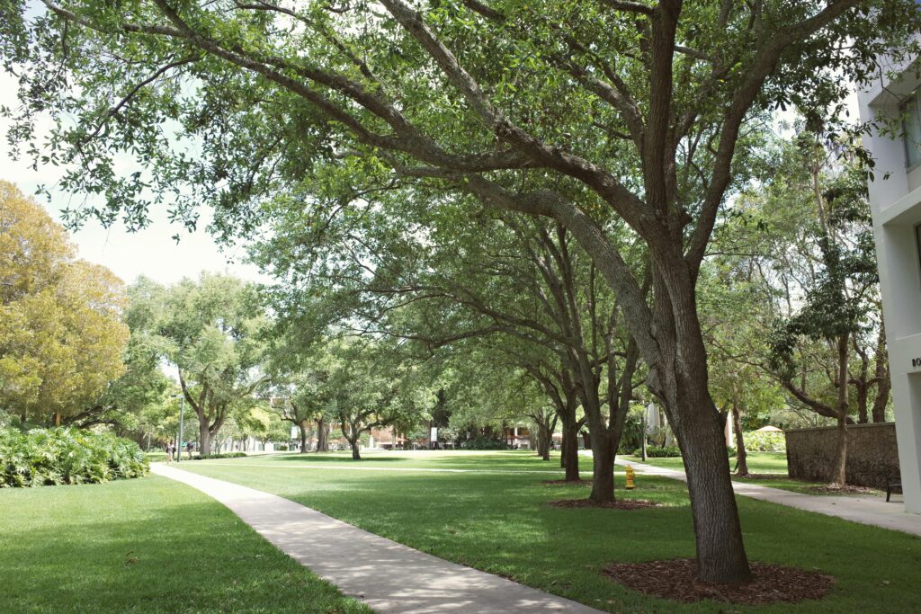 pexels-photo-31056506-31056506 A scenic pathway in Coral Gables, Florida showcasing lush greenery on a sunny day.